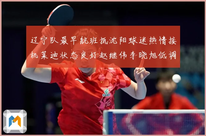 辽宁队最早航班抵沈阳球迷热情接机莱迪状态良好赵继伟李晓旭低调赛场复盘：最新赛事动态与深度分析
